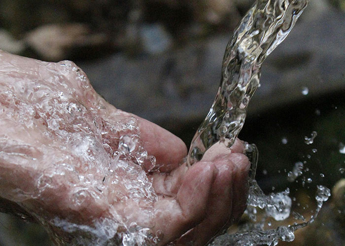 These Survival Myths Are Totally Busted—Here’s What Actually Works