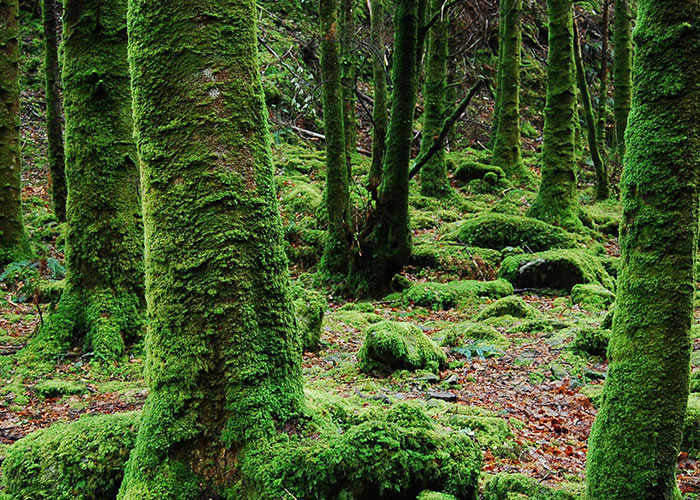 These Survival Myths Are Totally Busted—Here’s What Actually Works