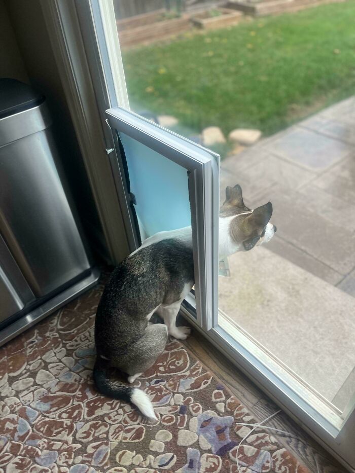 Duty Calls! But It’s Raining...