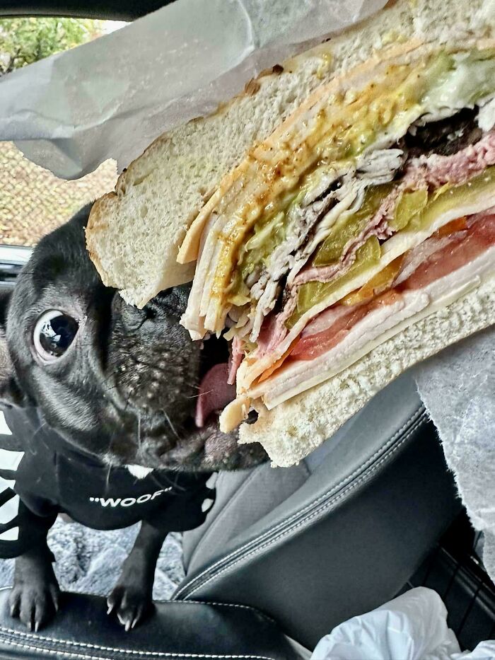 Tried Getting Him in My Sandwich Shot — Not Quite What I Expected