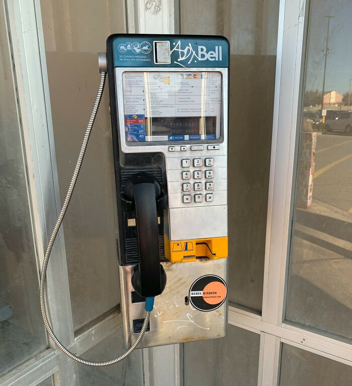 Wait, They Really Told These Wild School Scandals?