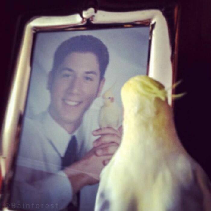Me and My Bird Jeff Made It to the Yearbook—Ten Years Later, He’s Totally Reflecting on Our Drama