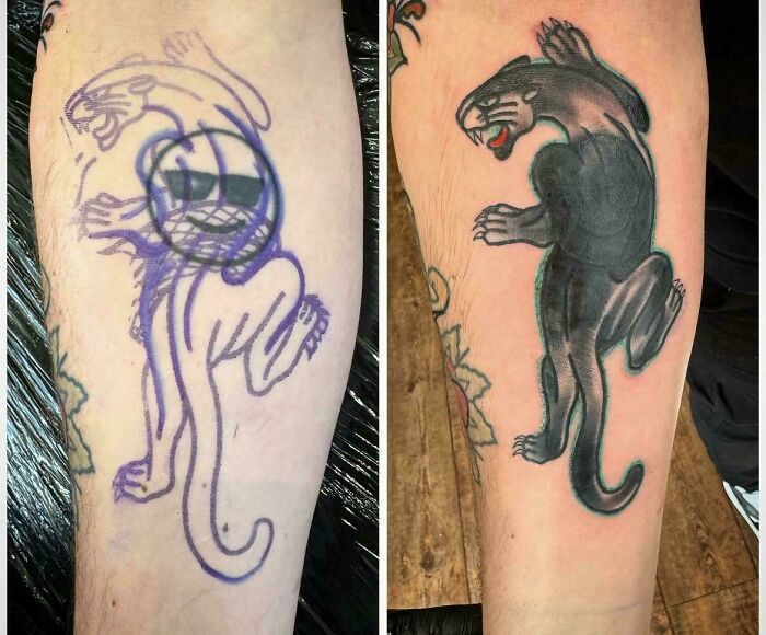 Thoughts On This Cover-Up?