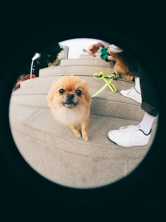 The 55 Weirdest Family Traditions You Won't Believe Are Real