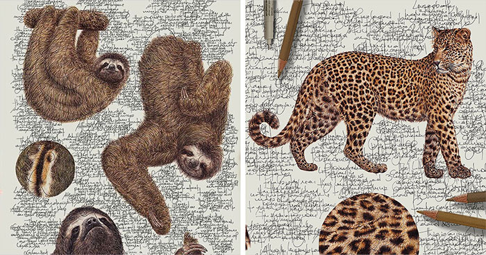 Wait Till You See These Animal Sketches That Are Basically Magic!