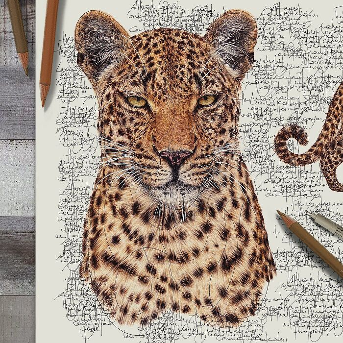 Wait Till You See These Animal Sketches That Are Basically Magic!