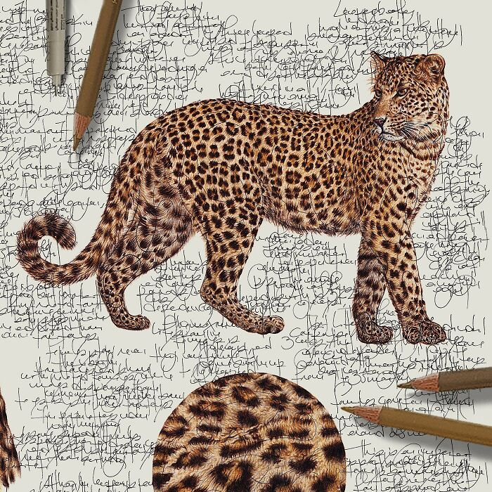 Wait Till You See These Animal Sketches That Are Basically Magic!