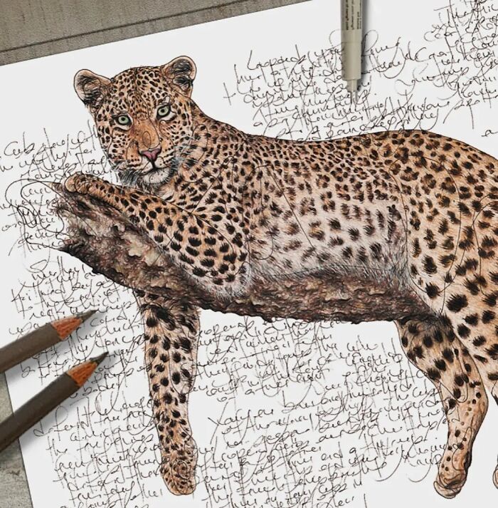 Wait Till You See These Animal Sketches That Are Basically Magic!