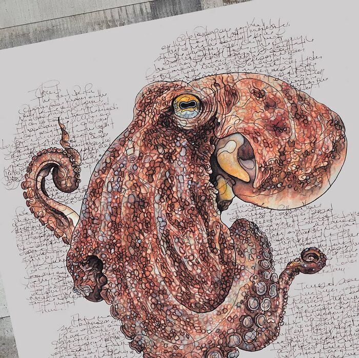 Wait Till You See These Animal Sketches That Are Basically Magic!