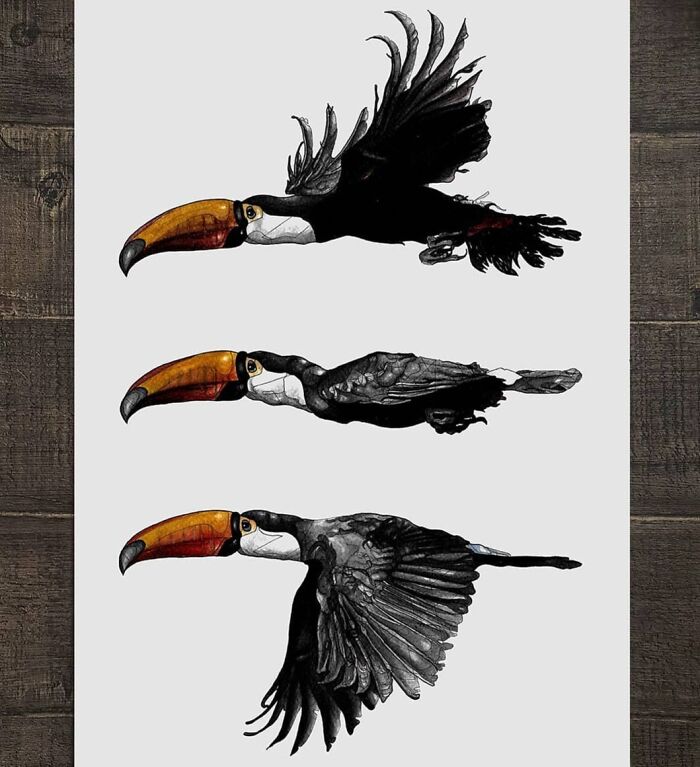 Wait Till You See These Animal Sketches That Are Basically Magic!