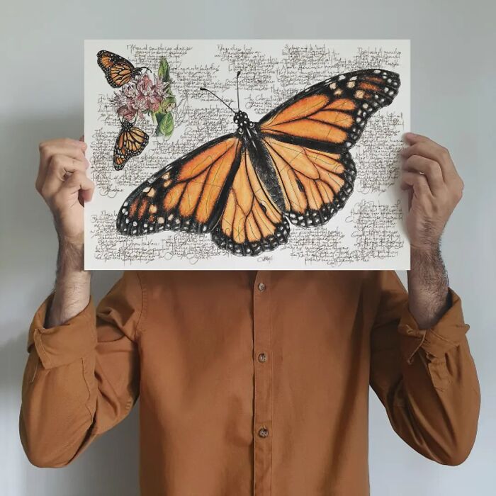 Wait Till You See These Animal Sketches That Are Basically Magic!