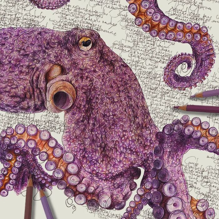Wait Till You See These Animal Sketches That Are Basically Magic!