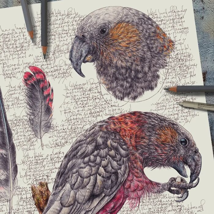 Wait Till You See These Animal Sketches That Are Basically Magic!
