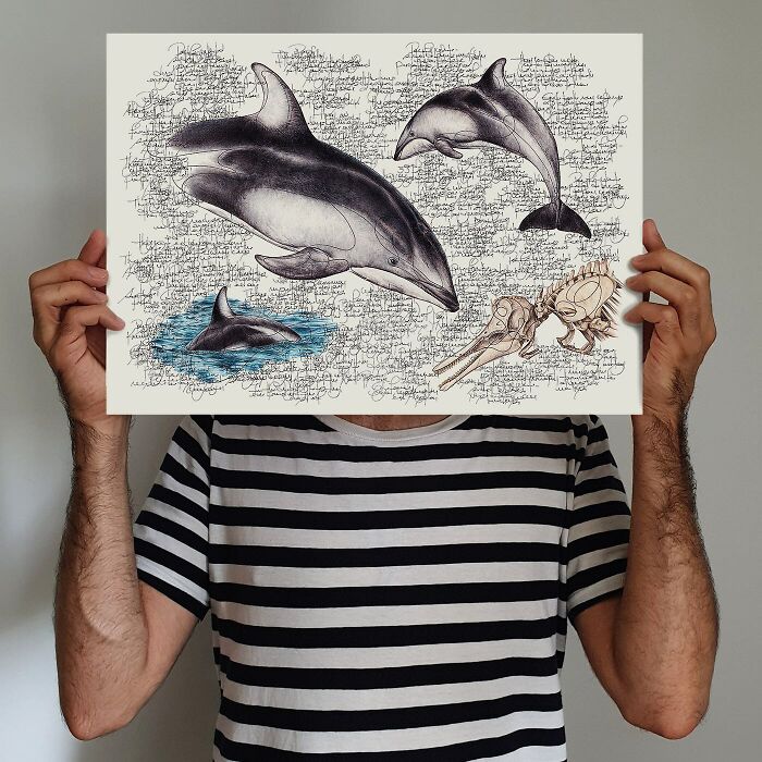 Wait Till You See These Animal Sketches That Are Basically Magic!