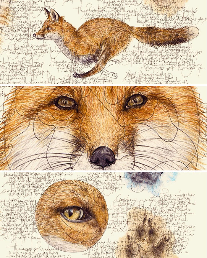 Wait Till You See These Animal Sketches That Are Basically Magic!