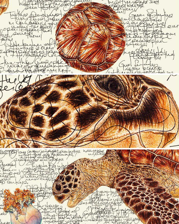 Wait Till You See These Animal Sketches That Are Basically Magic!