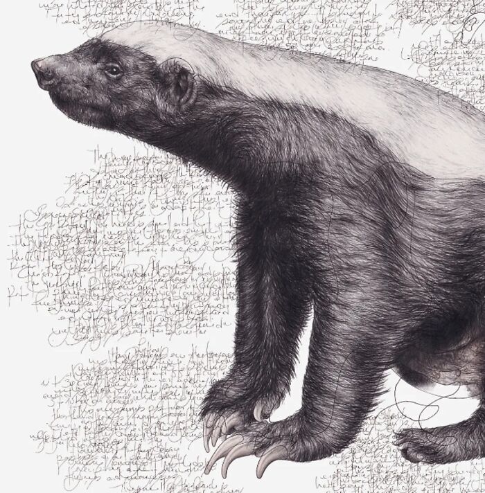 Wait Till You See These Animal Sketches That Are Basically Magic!