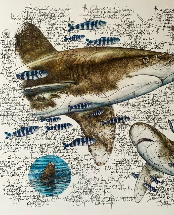 Wait Till You See These Animal Sketches That Are Basically Magic!