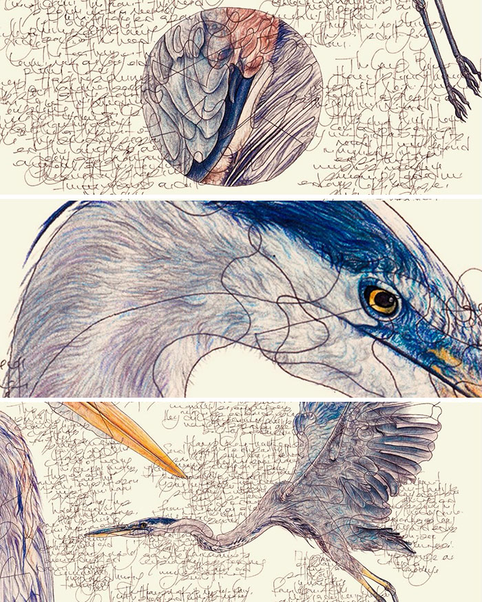 Wait Till You See These Animal Sketches That Are Basically Magic!