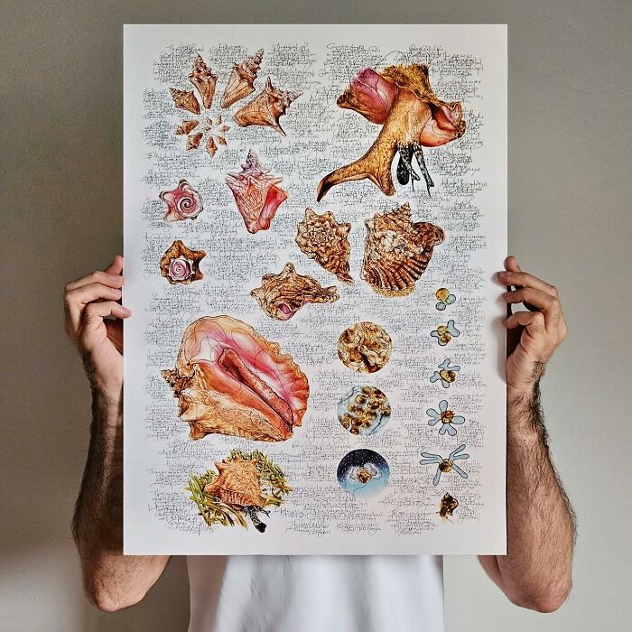 Wait Till You See These Animal Sketches That Are Basically Magic!