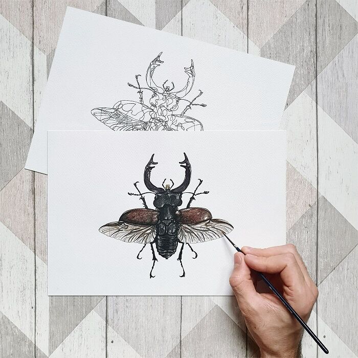 Wait Till You See These Animal Sketches That Are Basically Magic!