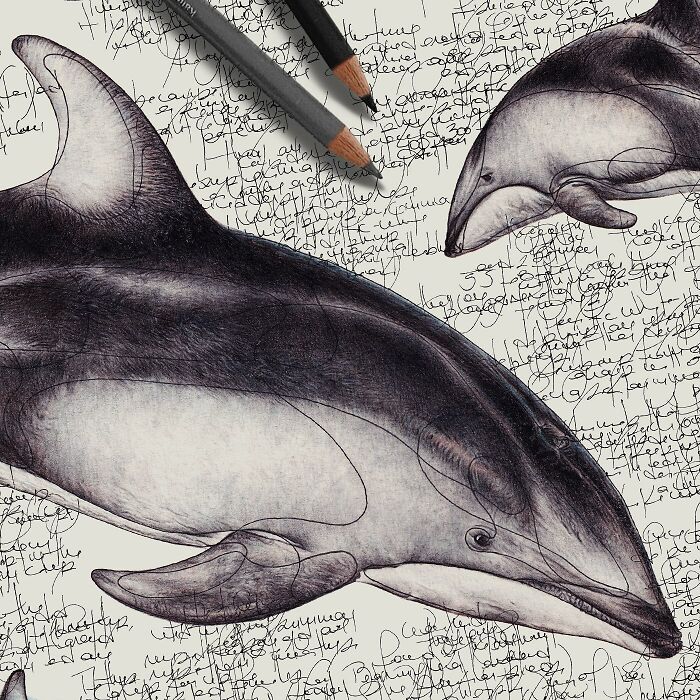 Wait Till You See These Animal Sketches That Are Basically Magic!