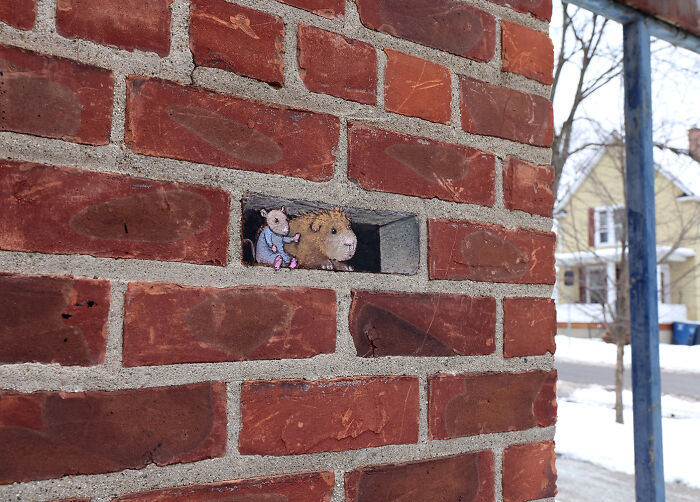 Nadine’s Storm Buddy