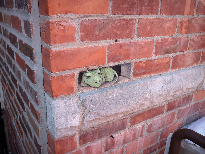 Meet Becky: Cold Fingers, Breezy Tail