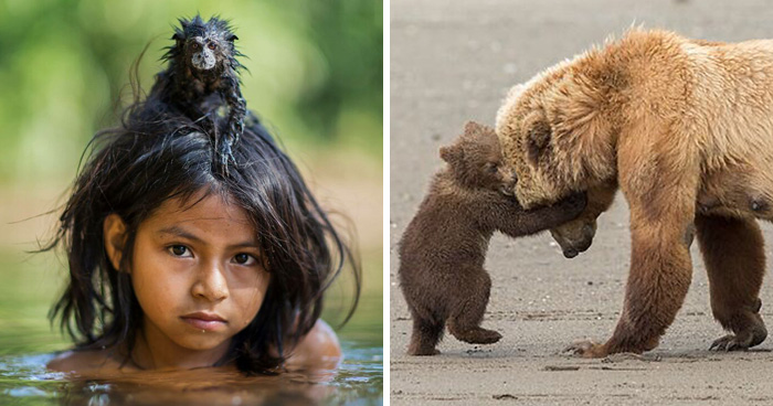 40 Wildlife Photos That Totally Deserve an Oscar (If Photos Had Oscars)