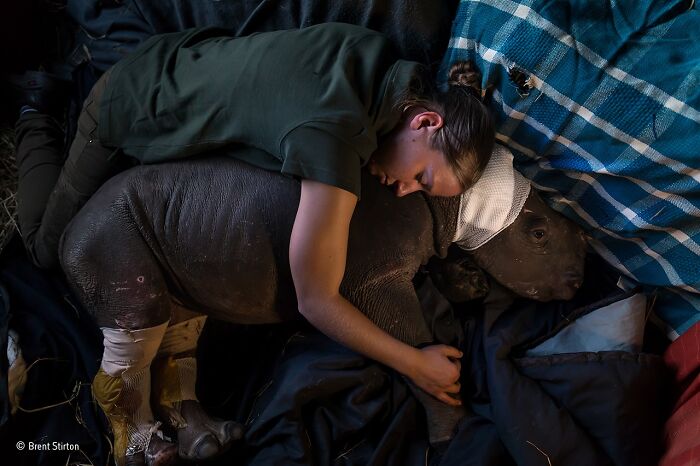 40 Wildlife Photos That Totally Deserve an Oscar (If Photos Had Oscars)