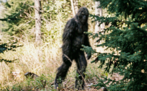 20 Animal Laws That Are Absolutely Bizarre