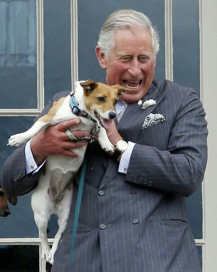 Don’t Date The Queen’s Corgi