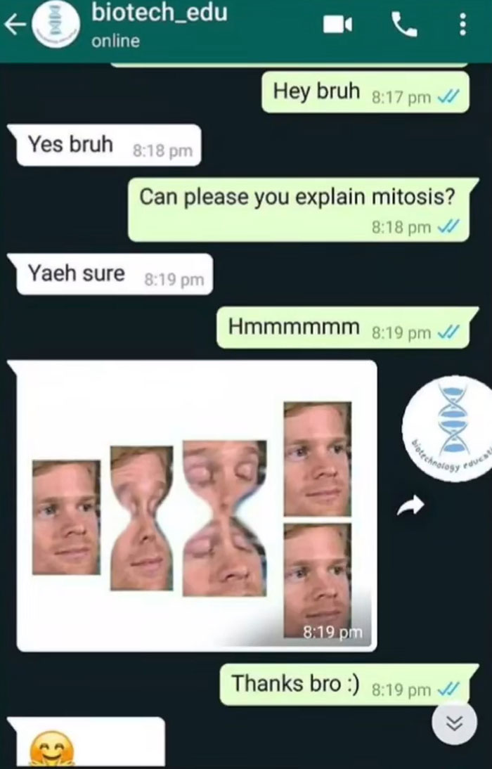 The Funniest Texts Ever - You’ve Gotta See These!