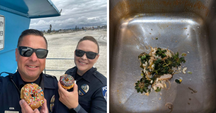 Wait, Americans Actually Do That?! 45 Wild Things Visitors Couldn’t Believe Were Real