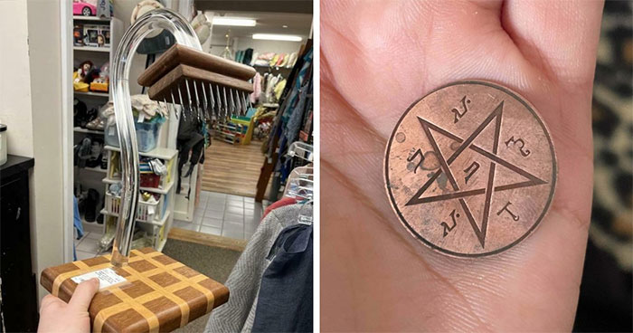 Wait, People Actually Asked “What Is This?” About These Wild Finds!