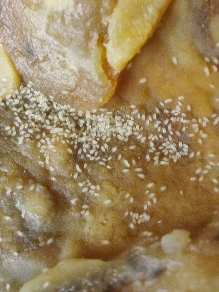 What Are These Tiny White Critters Crawling On My Iberico Ham?