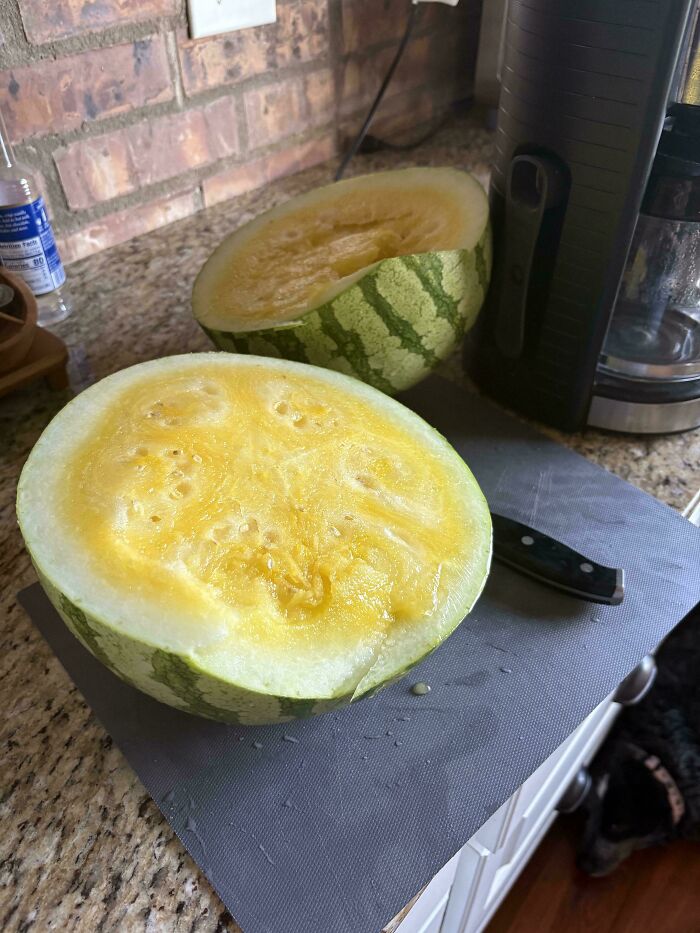 Why Did My Watermelon Turn Yellow?
