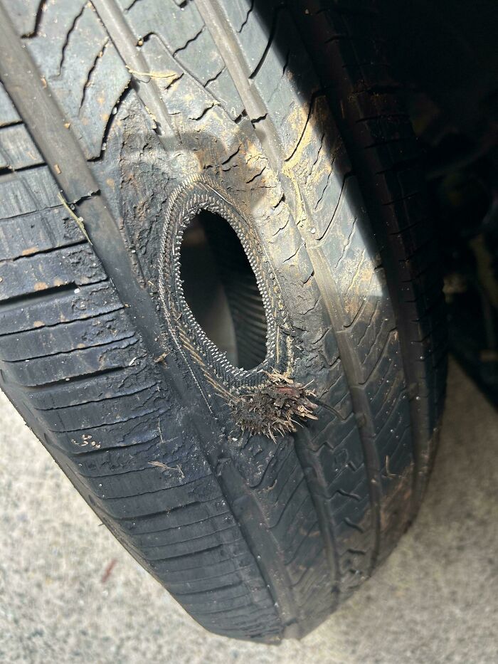 What Punched This Perfect Hole In My Tire?