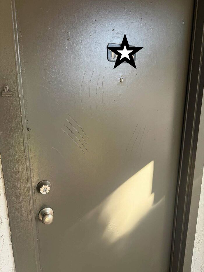 Neighbor Passed Away, Now There Are Weird Scratches On Their Door?