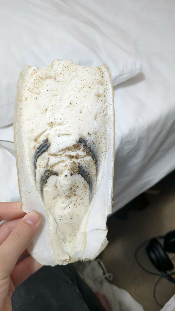 What Is This Odd Thing I Found On The Beach?