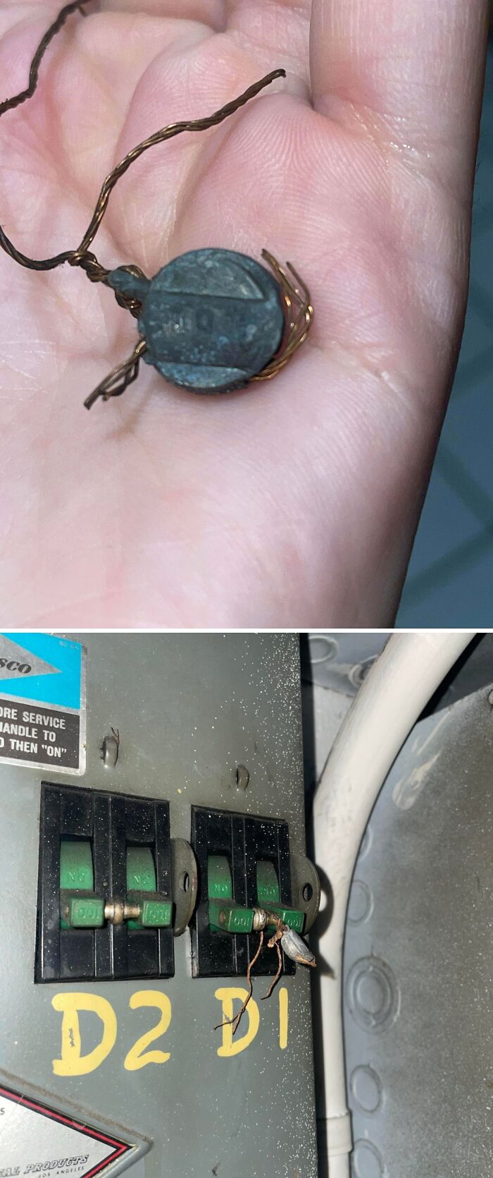 What Is This Thingamajig On My Electrical Meter?