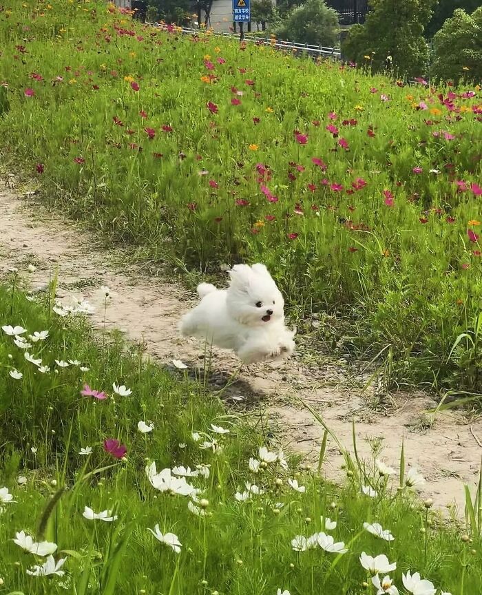 Tiny Animals Doing Their Best to Totally Melt Your Heart