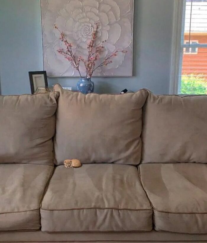 Tiny Animals Doing Their Best to Totally Melt Your Heart