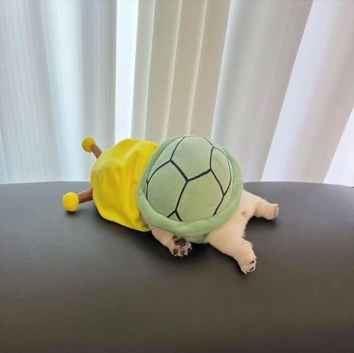 Tiny Animals Doing Their Best to Totally Melt Your Heart