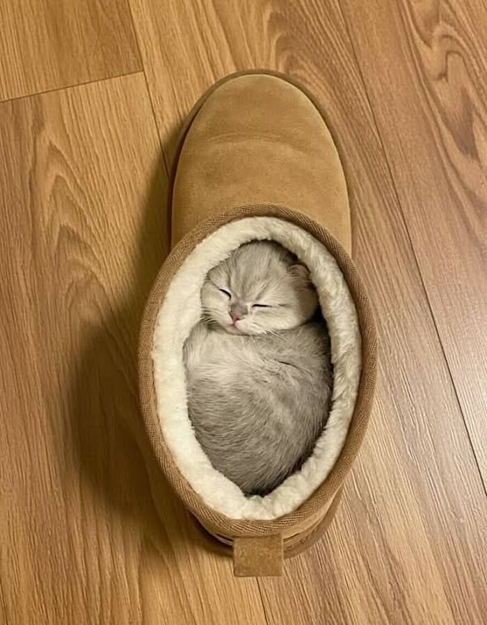 Tiny Animals Doing Their Best to Totally Melt Your Heart