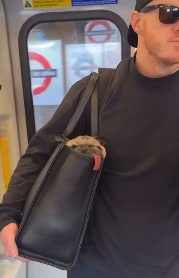 Tiny Animals Doing Their Best to Totally Melt Your Heart