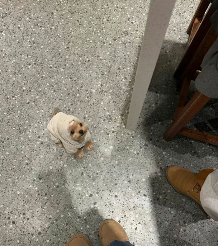 Tiny Animals Doing Their Best to Totally Melt Your Heart