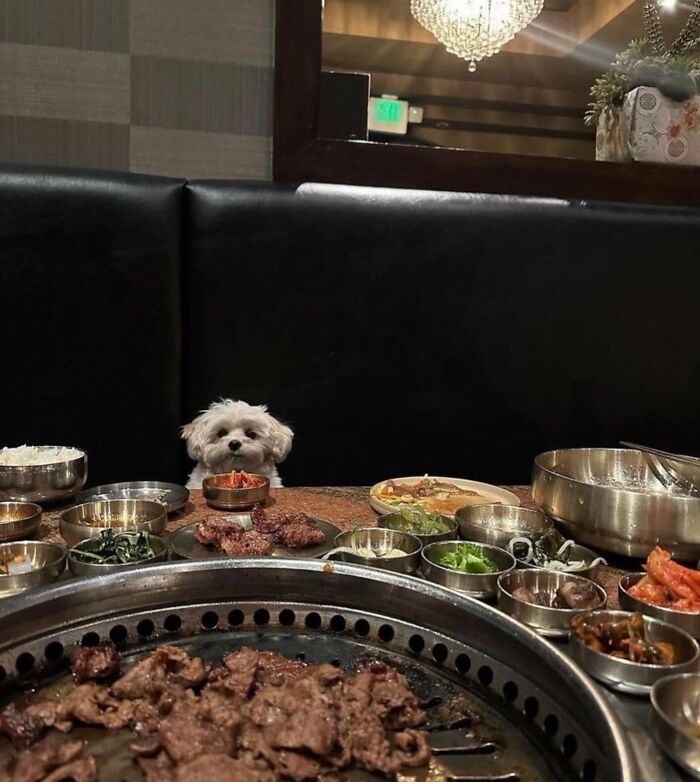 Tiny Animals Doing Their Best to Totally Melt Your Heart