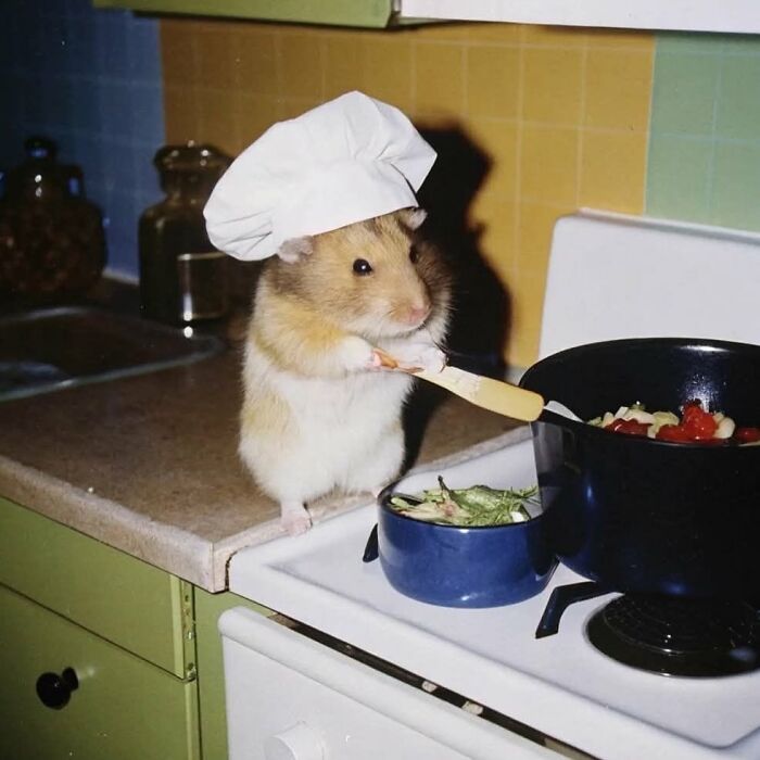 Tiny Animals Doing Their Best to Totally Melt Your Heart