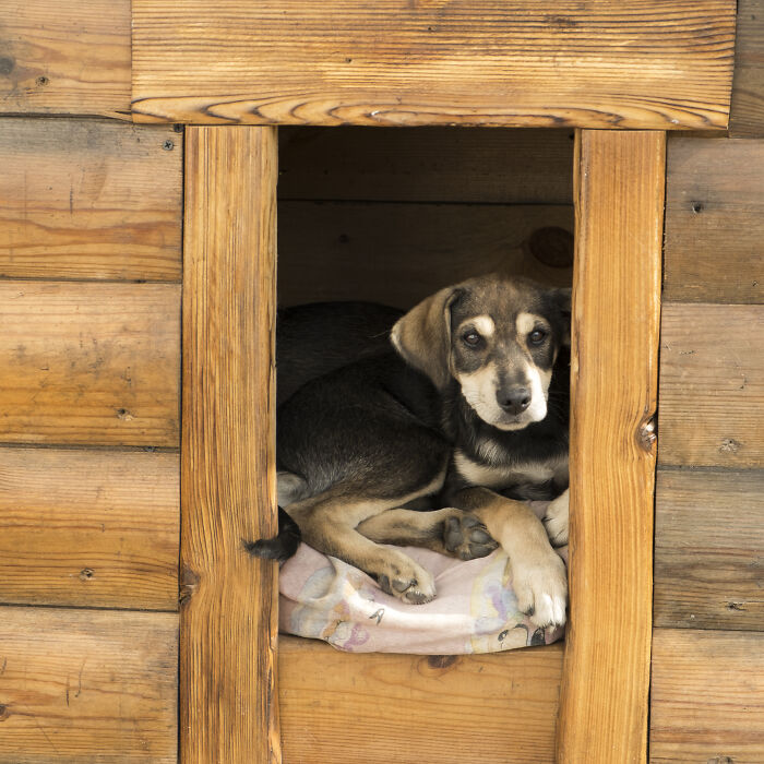 Dads Doing Sneaky Stuff That'll Make You Giggle (And Maybe Say 'No Way!')